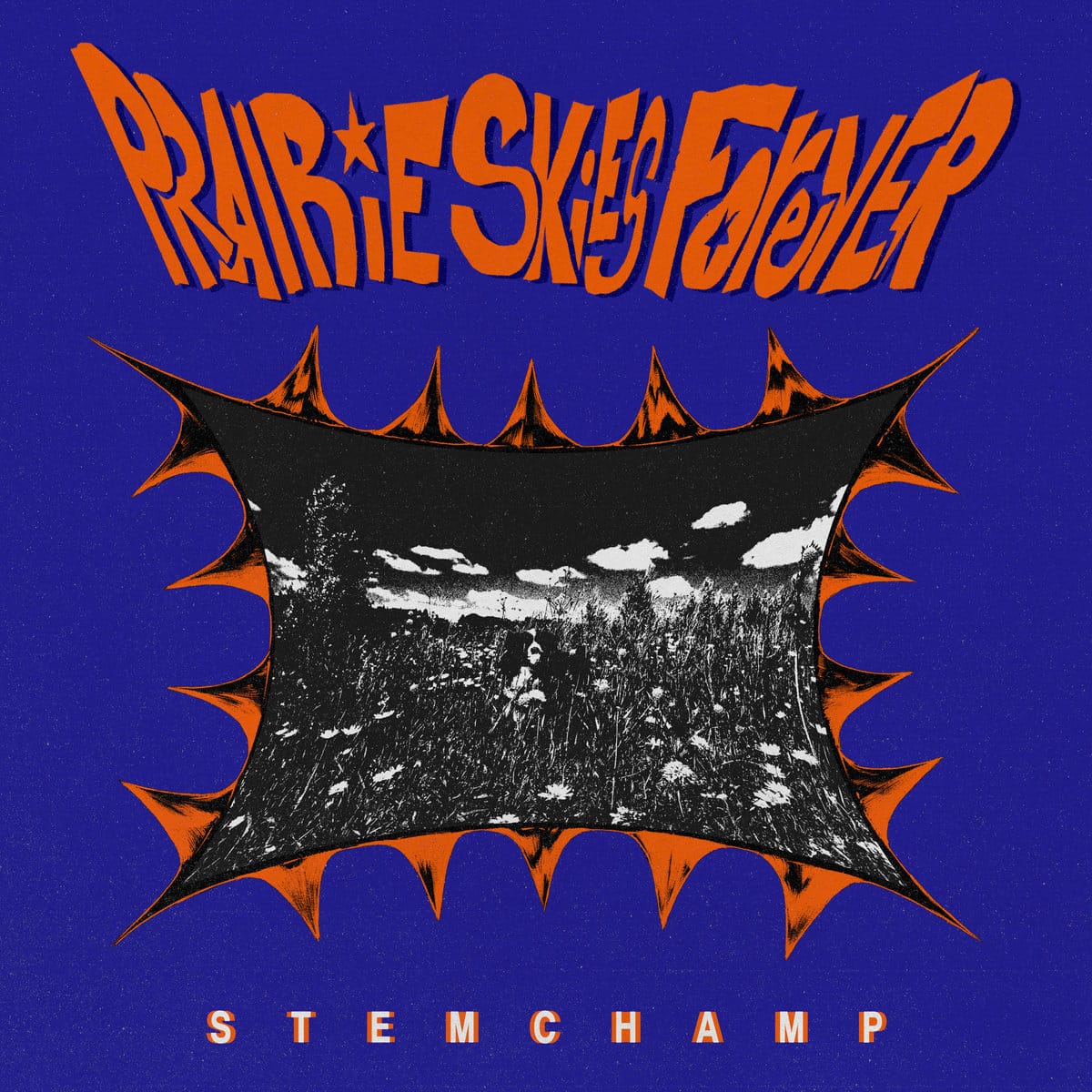 Stem Champ- Prairie Skies Forever