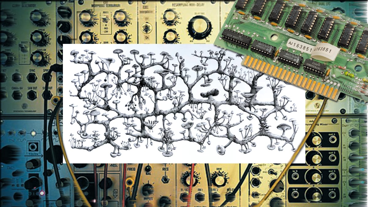 Beyond Random Access: Grassroots Music Organizations on the Benefits of Decentralizing Institutional Memory