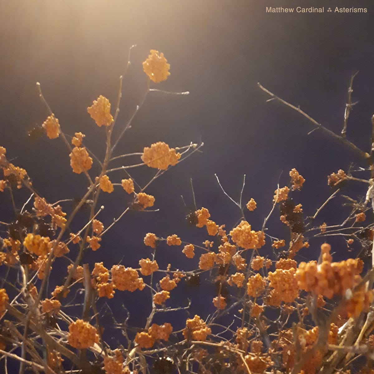 Matthew Cardinal - Asterisms