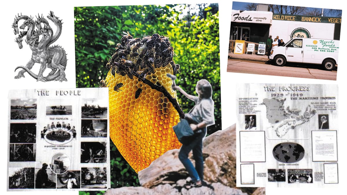 21st Century Co-op Ecologies