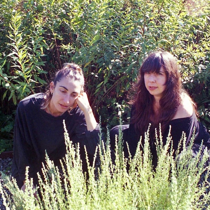 Basic Instinct - Late Bloom