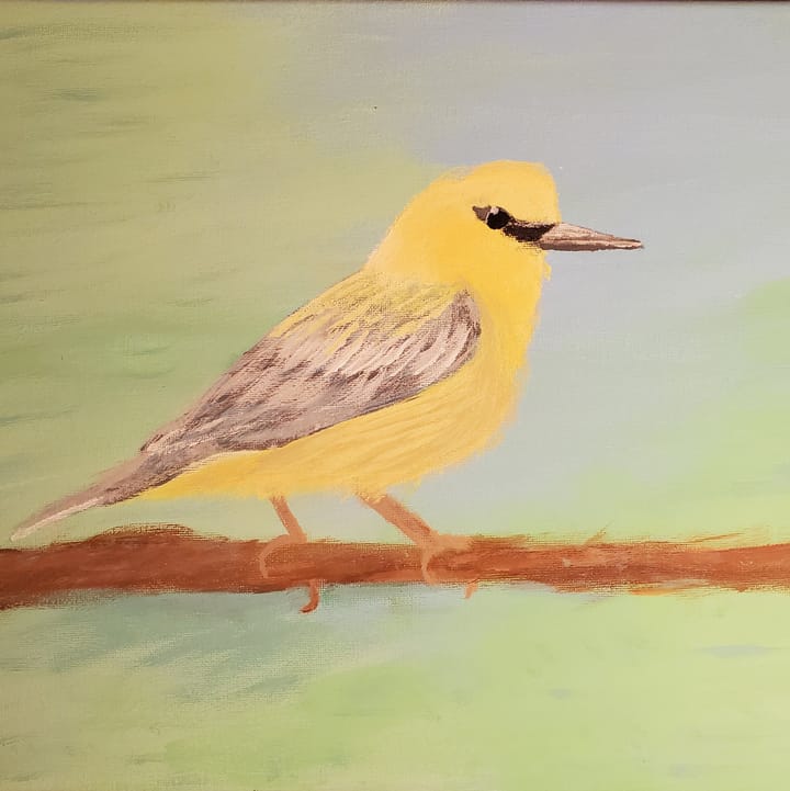 blueberry lemon - The Blue-Winged Warbler