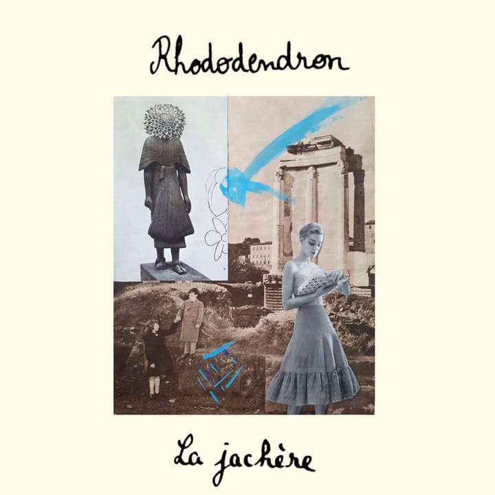 Rhododendron - La jachère
