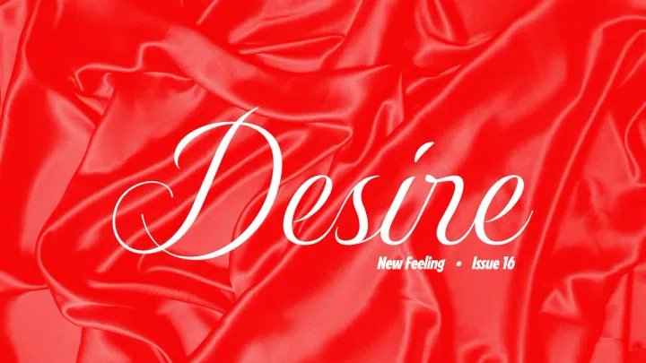 ISSUE 16: DESIRE