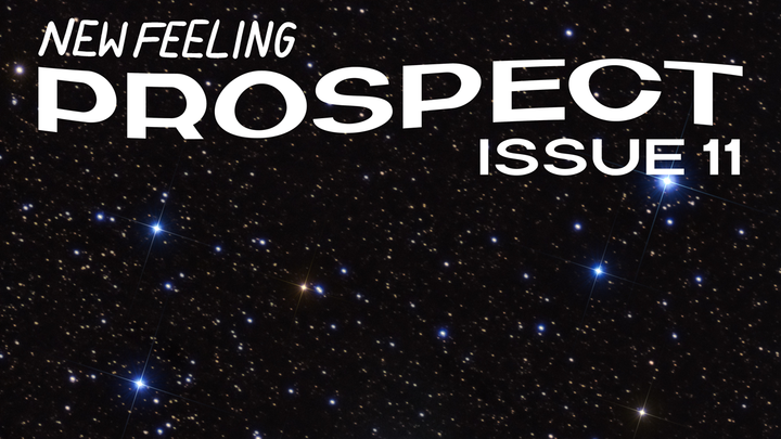 ISSUE 11: Prospect