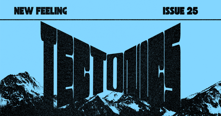 ISSUE 25: TECTONICS